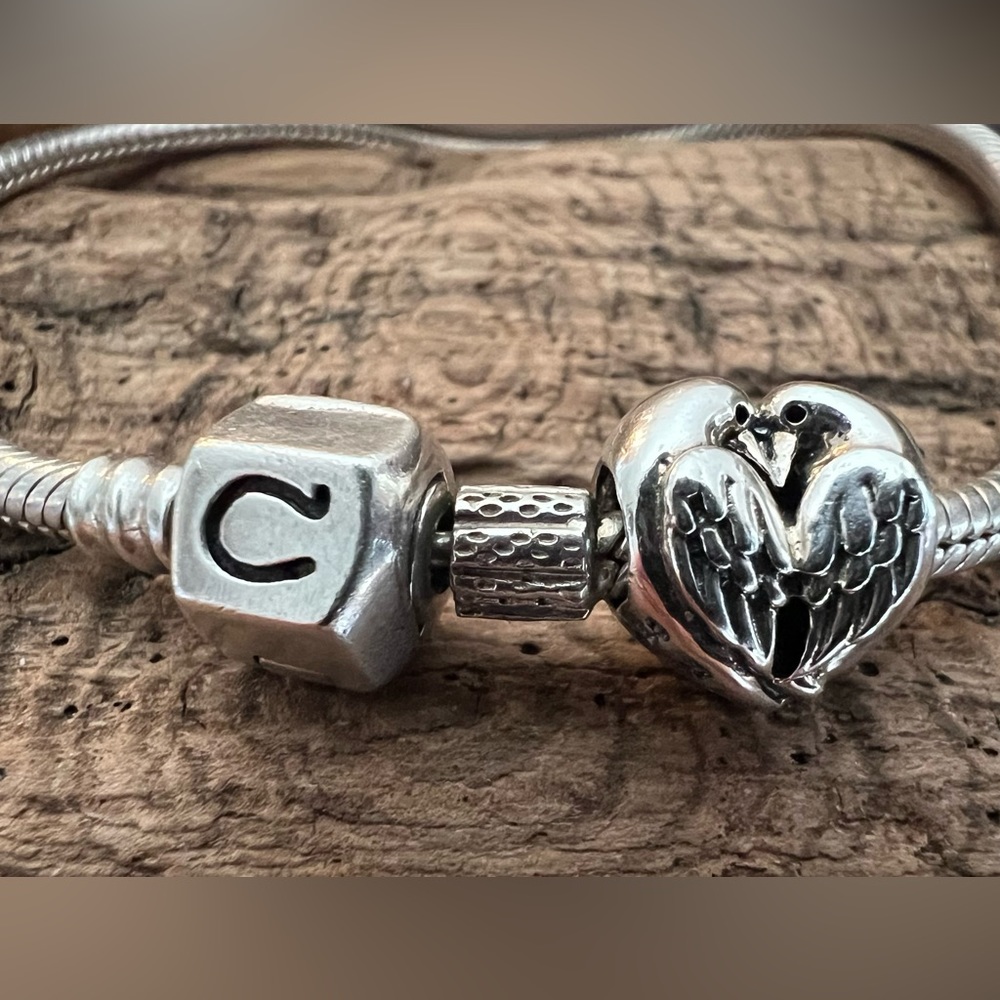 NWT Authentic CHAMILIA- Two Turtle Doves Charm Bead Bird Animal Wings Silver 925
